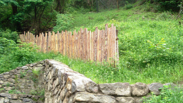 Geländesanierung: Der Hangbereich rund ein Jahr nach Abschluss der Sanierungsarbeiten. „Knappenloch“, Schloss Tirol, Dorf Tirol (BZ), 2012.